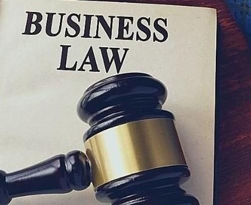 Business Purchases and Sales